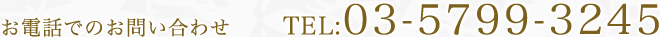 äǤΤ䤤碌 TEL  03-5799-3245